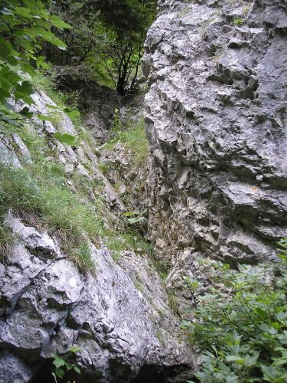 Obrázok blogu