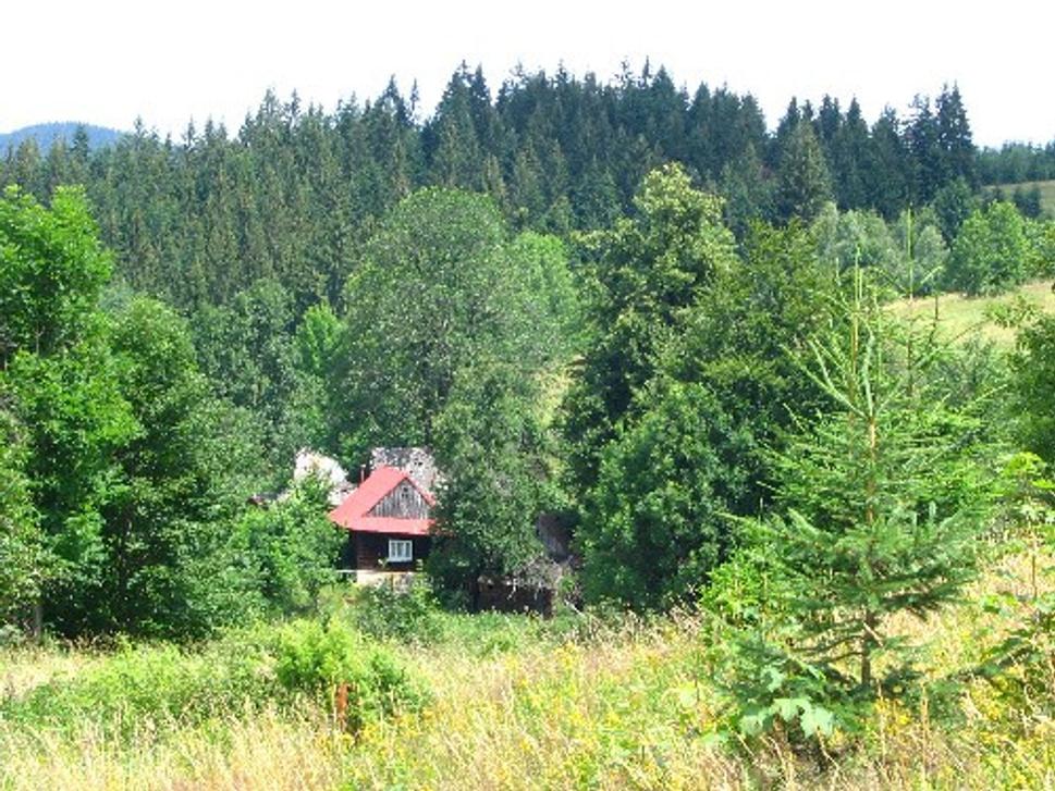 Obrázok blogu