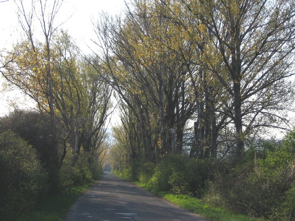 Obrázok blogu