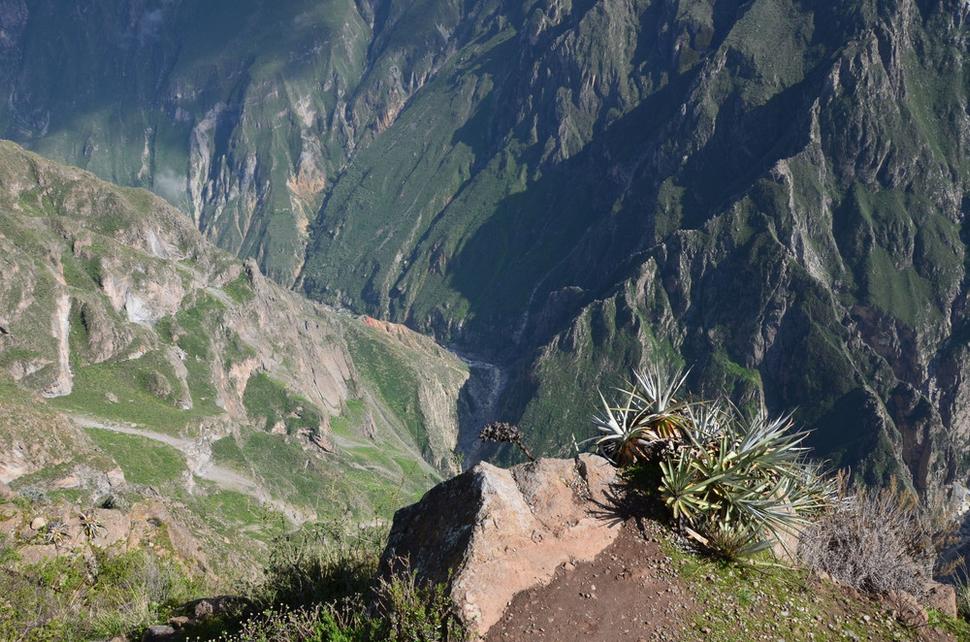Hlboký Colca canyon