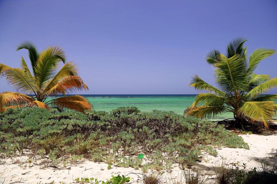 Isla Saona