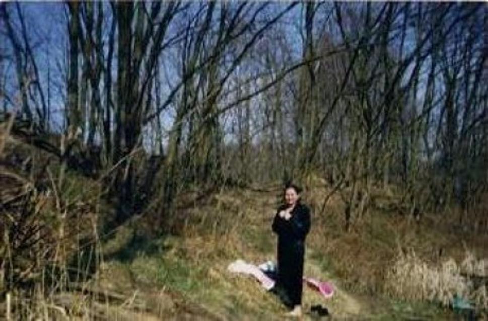 Obrázok blogu