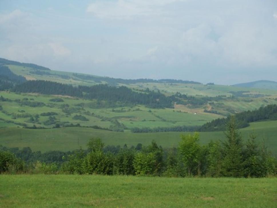 Obrázok blogu