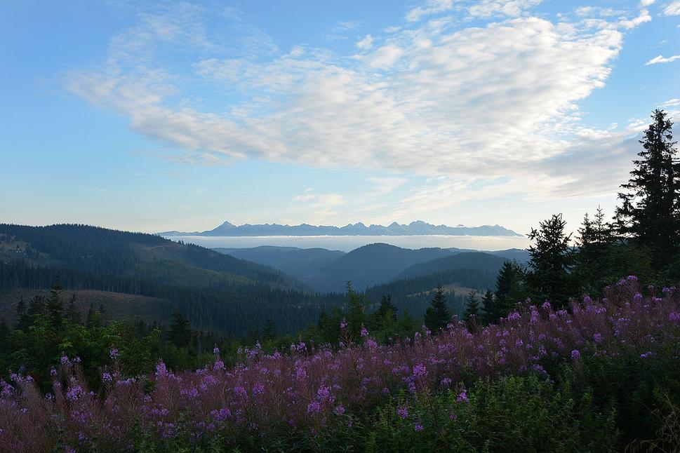 ranný výhľad z Andrejcovej na Vysoké Tatry