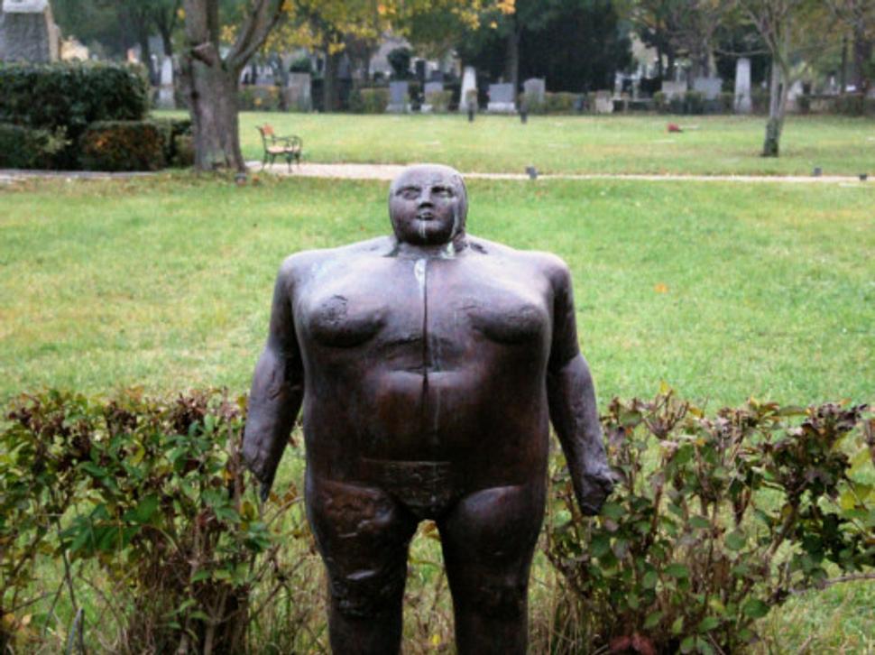 Obrázok blogu