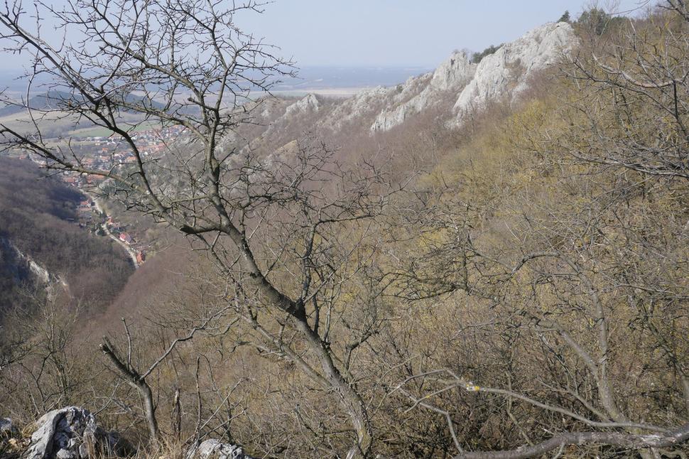 Kršlenica
