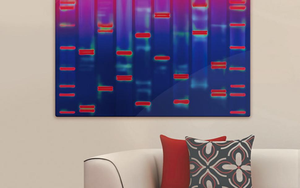 Jedným z ponúkaných komerčných produktov sú aj tzv. DNA portréty. Možno človeka redukovať na jeho genetickú informáciu?