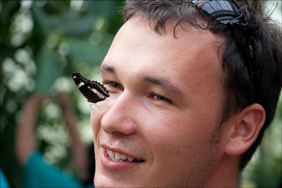 Obrázok blogu