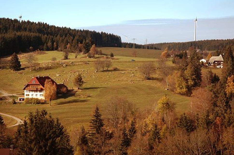 Obrázok blogu