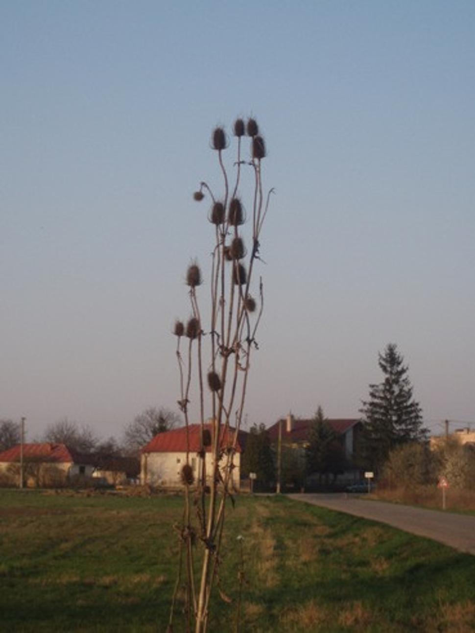 Obrázok blogu