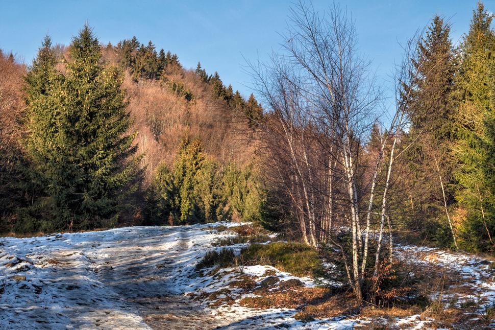 Cestou ku chate pod Kľačianskou Magurou
