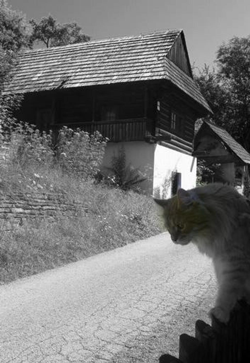 Obrázok blogu