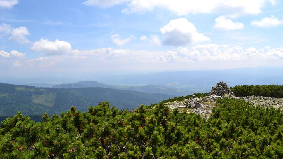 Z vrcholu Prašivej.