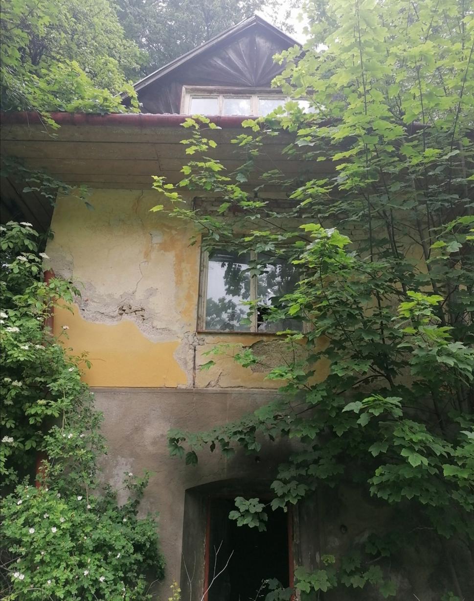 Obrázok blogu