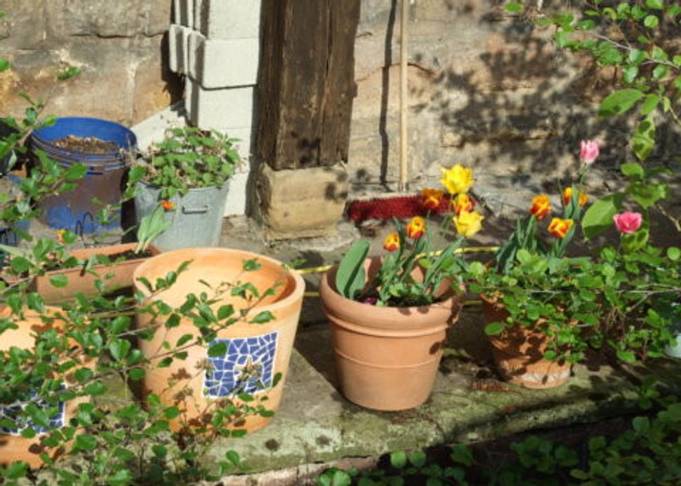 Obrázok blogu