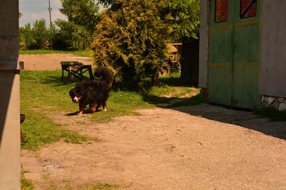 Nelka - príjemná usmievavá obsluha v Hostinci u Mirka