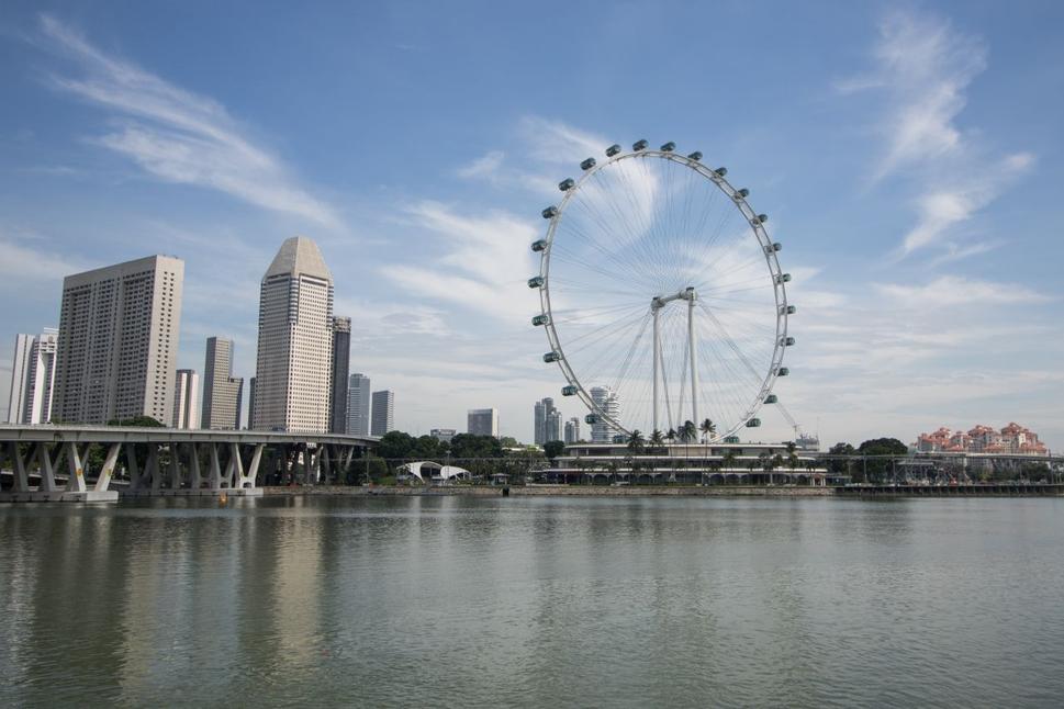 Pohľad na Singapore Flyer z Gardens by the Bay