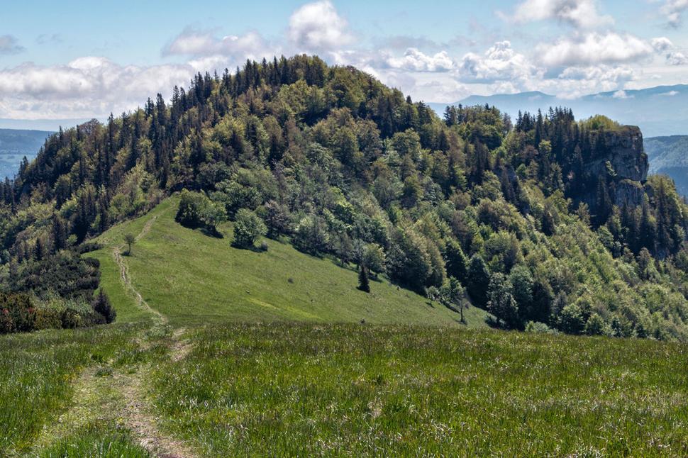 Majerova skala