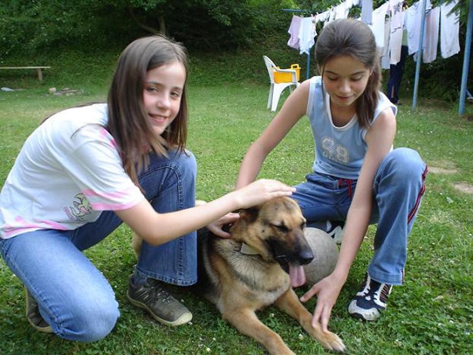 Obrázok blogu