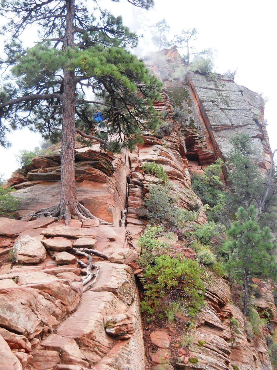 Horná polovica Angels Landing je pomerne náročná