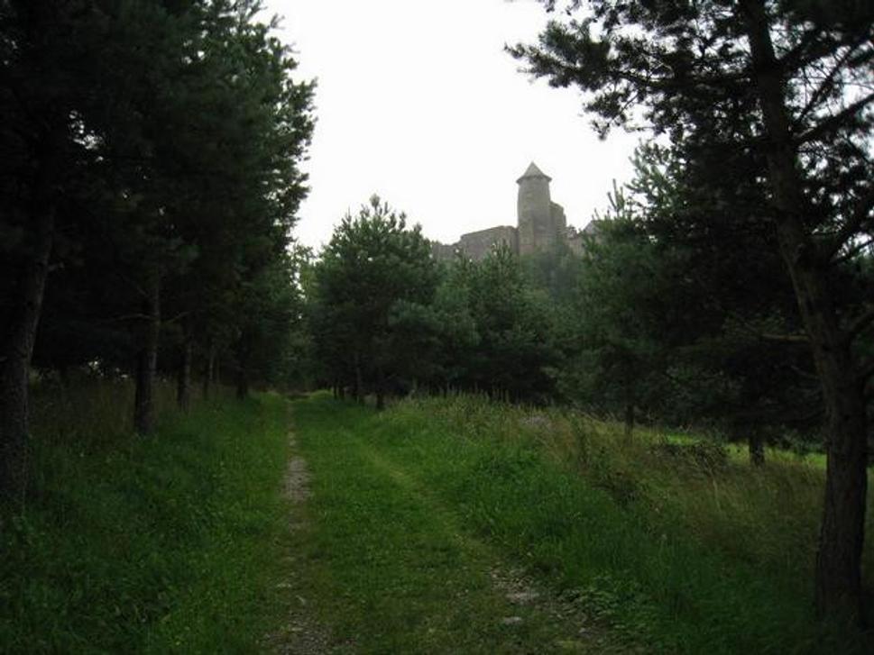 Obrázok blogu
