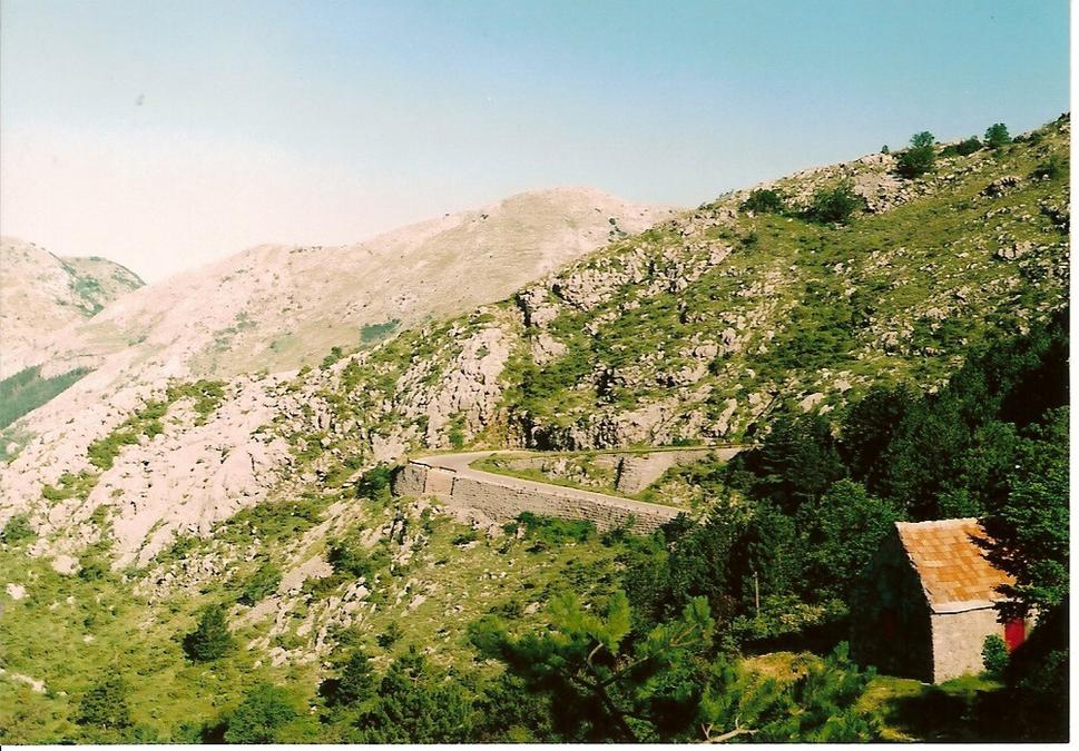 Cesta