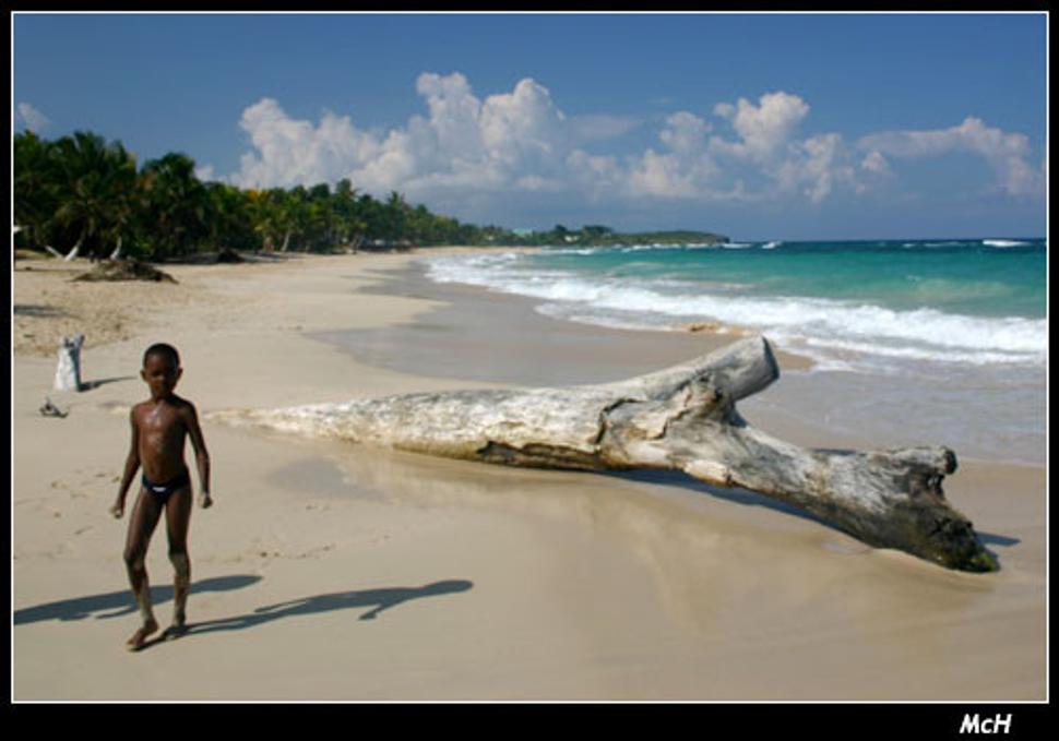 Long Bay