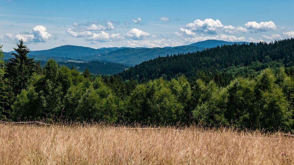 Výhľad na Veľkú Raču
