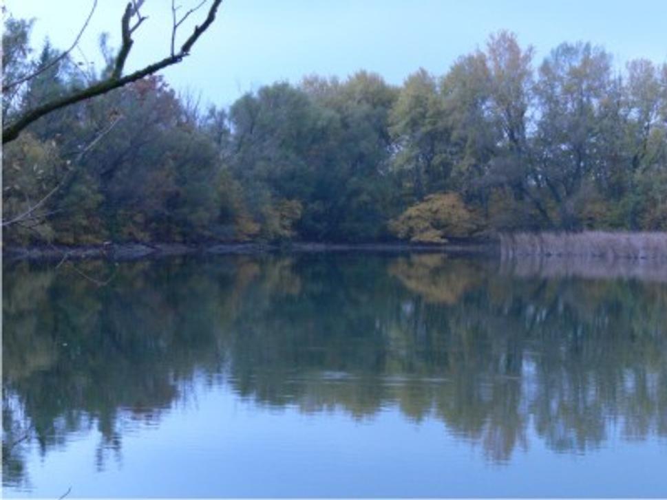 Obrázok blogu