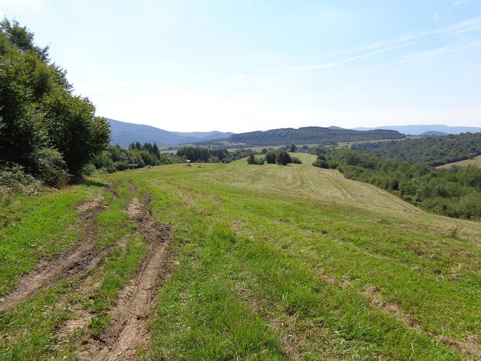 niekde