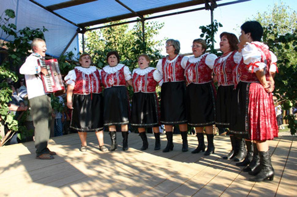 Obrázok blogu