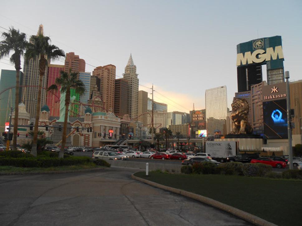Divočina Las Vegas