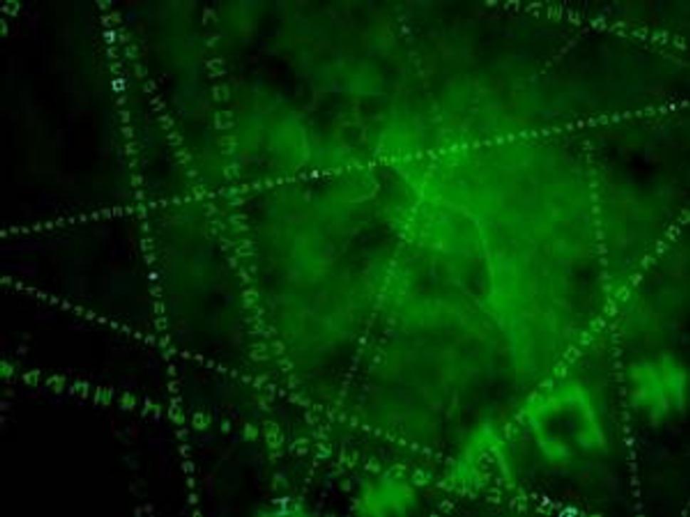 matrix