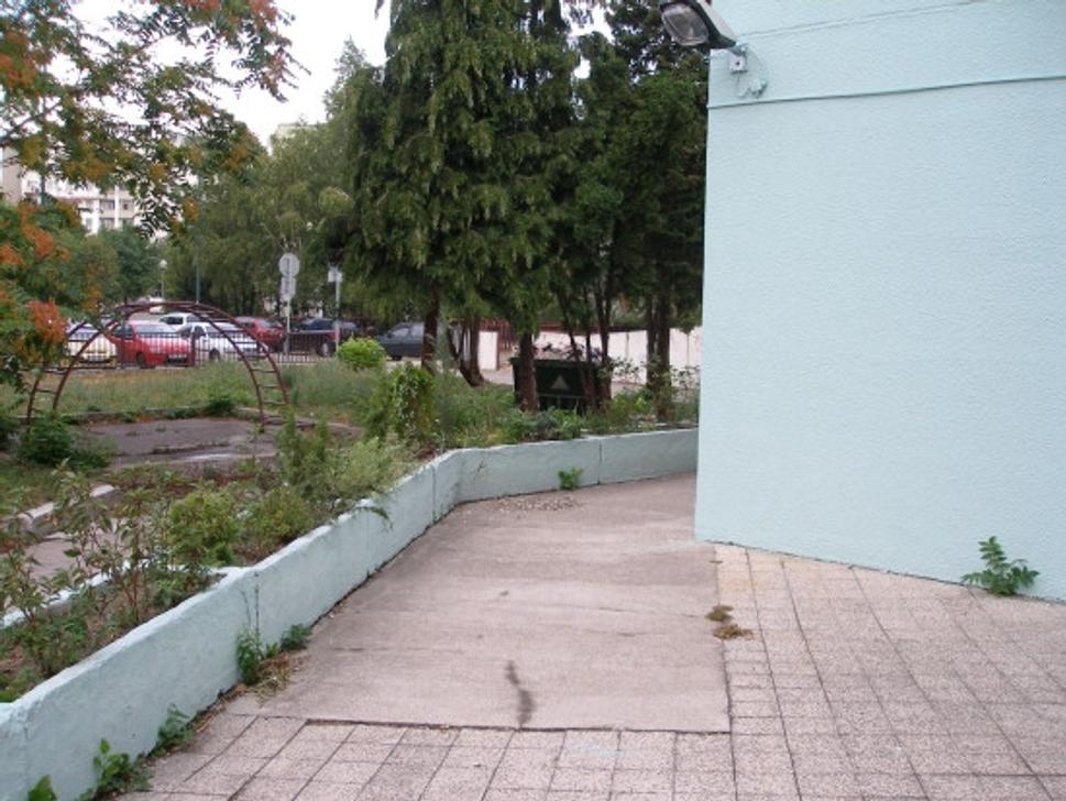 Obrázok blogu