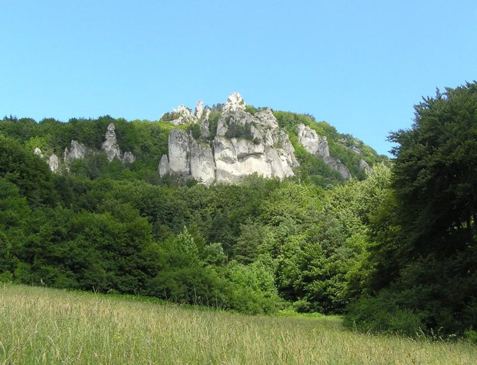 Obrázok blogu
