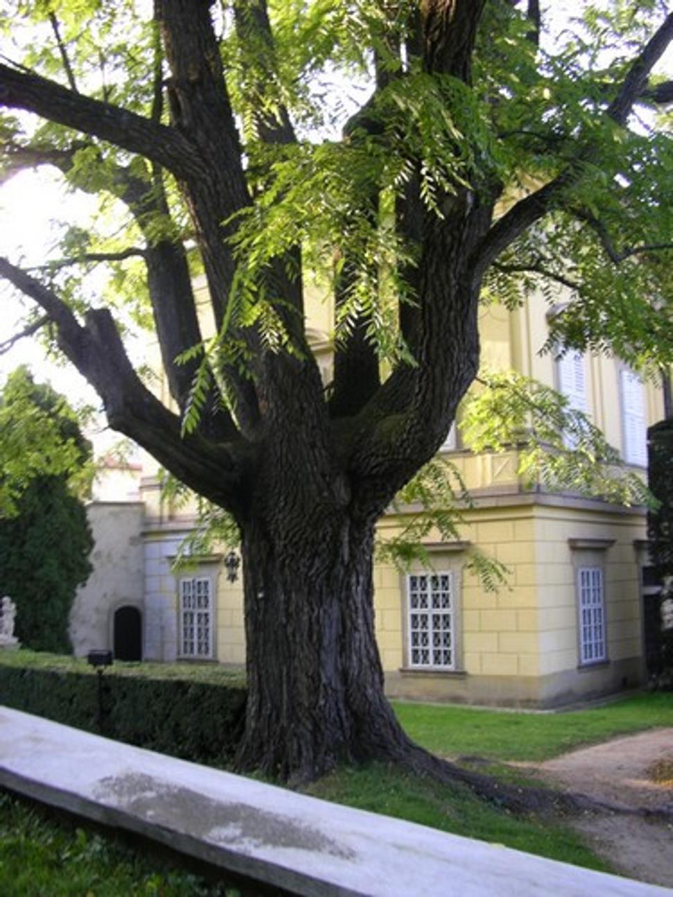 Obrázok blogu