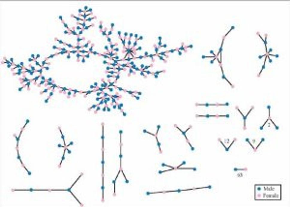 Sexual network