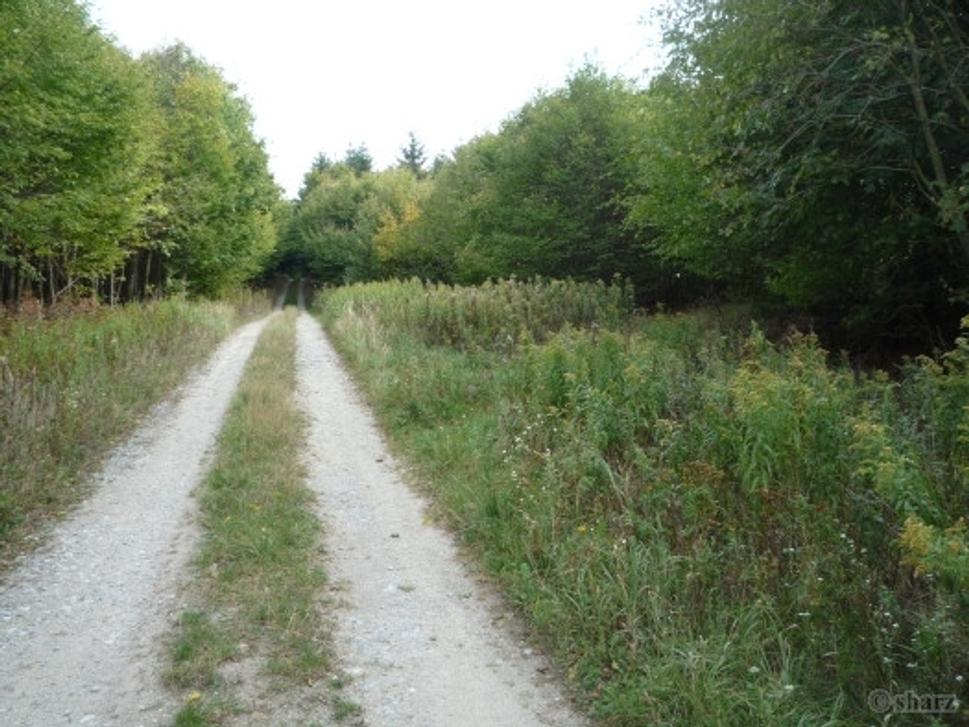 Obrázok blogu