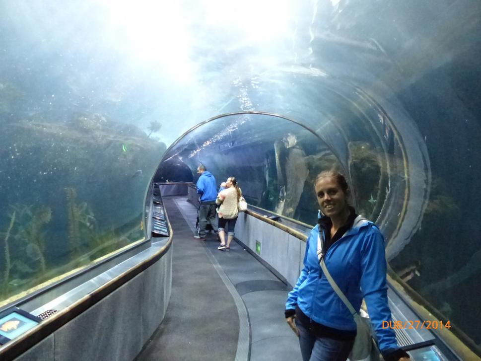Aquarium je také menšie, ale vcelku pekné