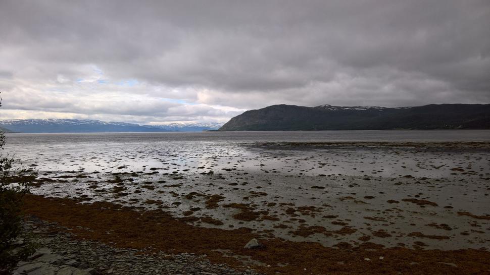 fjord počas odlivu
