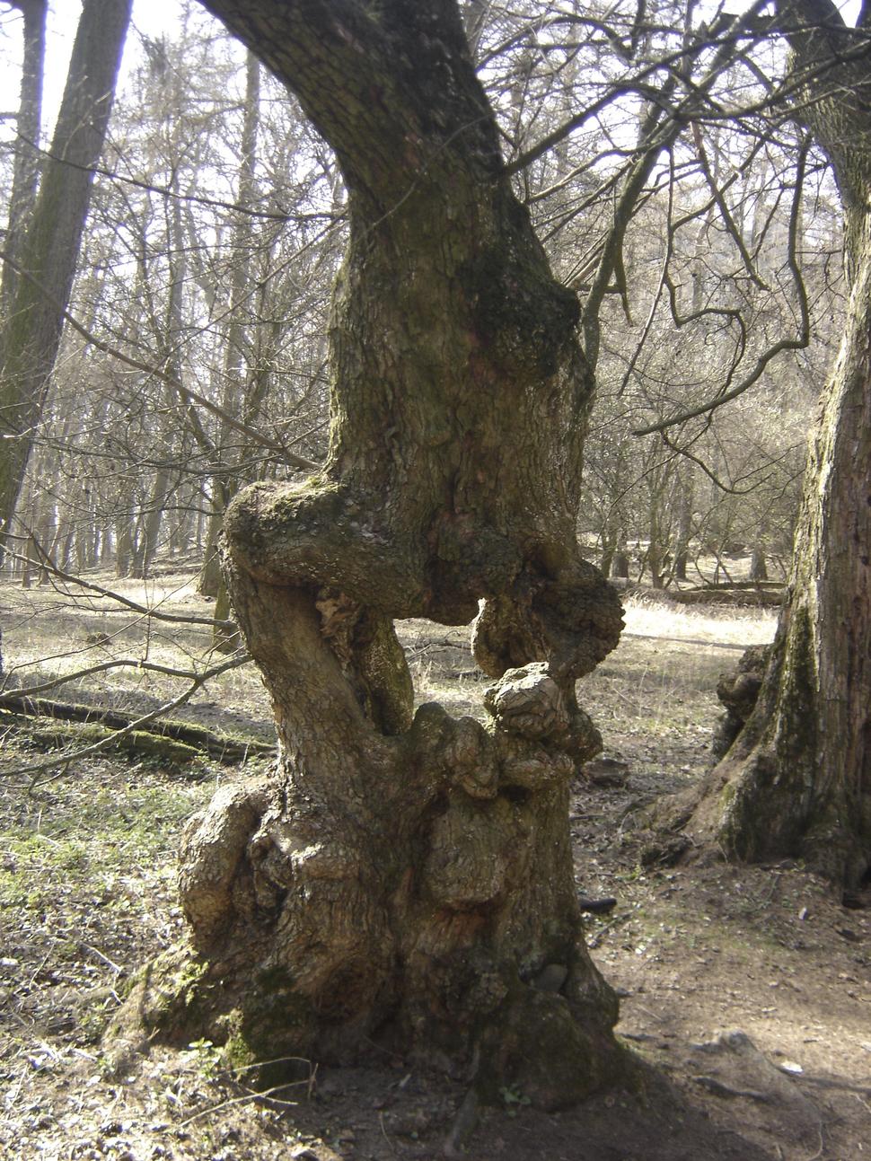 Aj takýto "fotorámik" je možné nájsť cestou...
