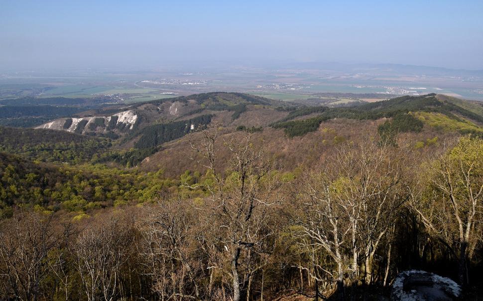 Obrázok blogu