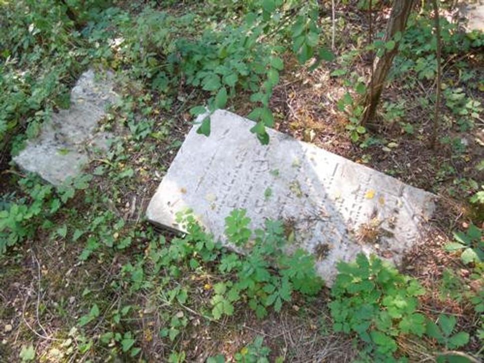 Obrázok blogu