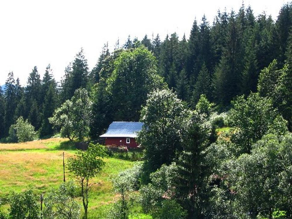 Obrázok blogu