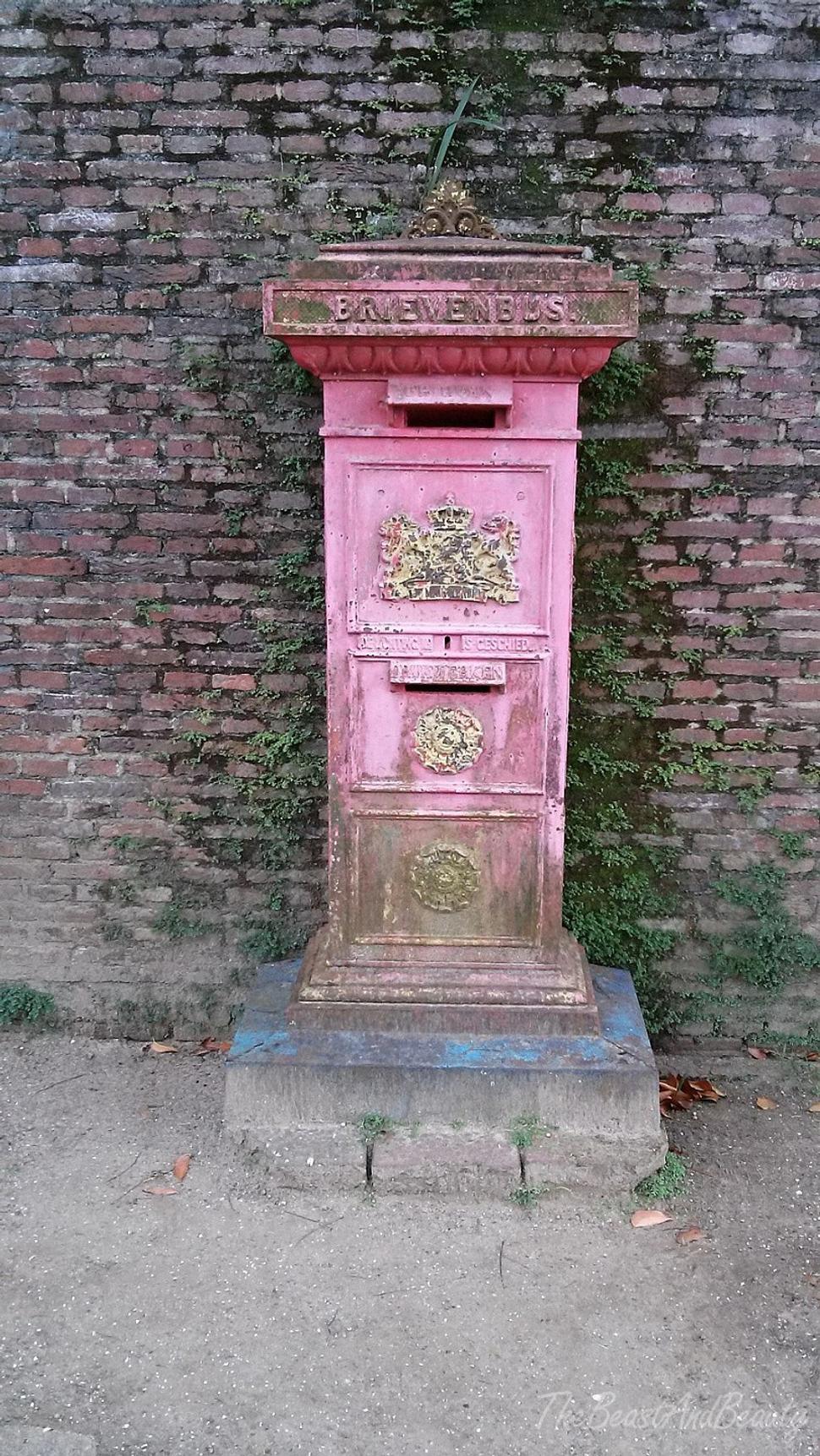 Obrázok blogu