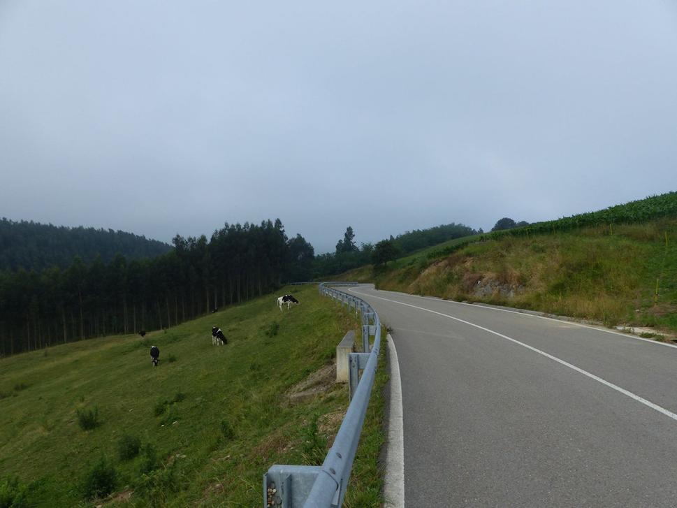 Camino dnes.