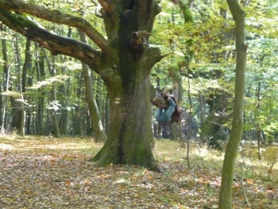 A tu velký strom aj s nejakým živočíchom
