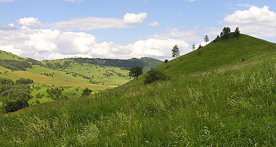Obrázok blogu