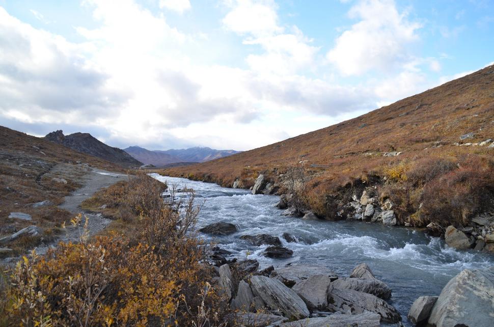 Savage river
