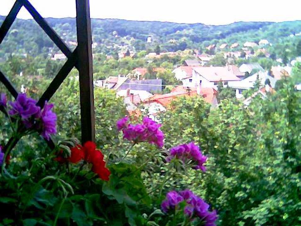 Obrázok blogu